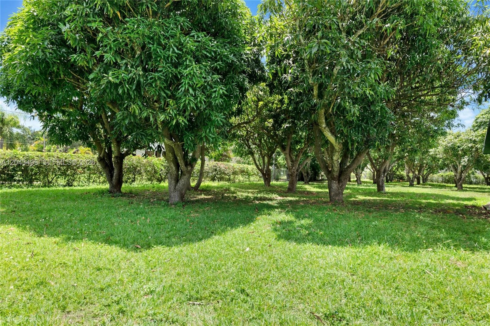 8000 SW 184th Street, Cutler Bay, FL 33157 photo 13