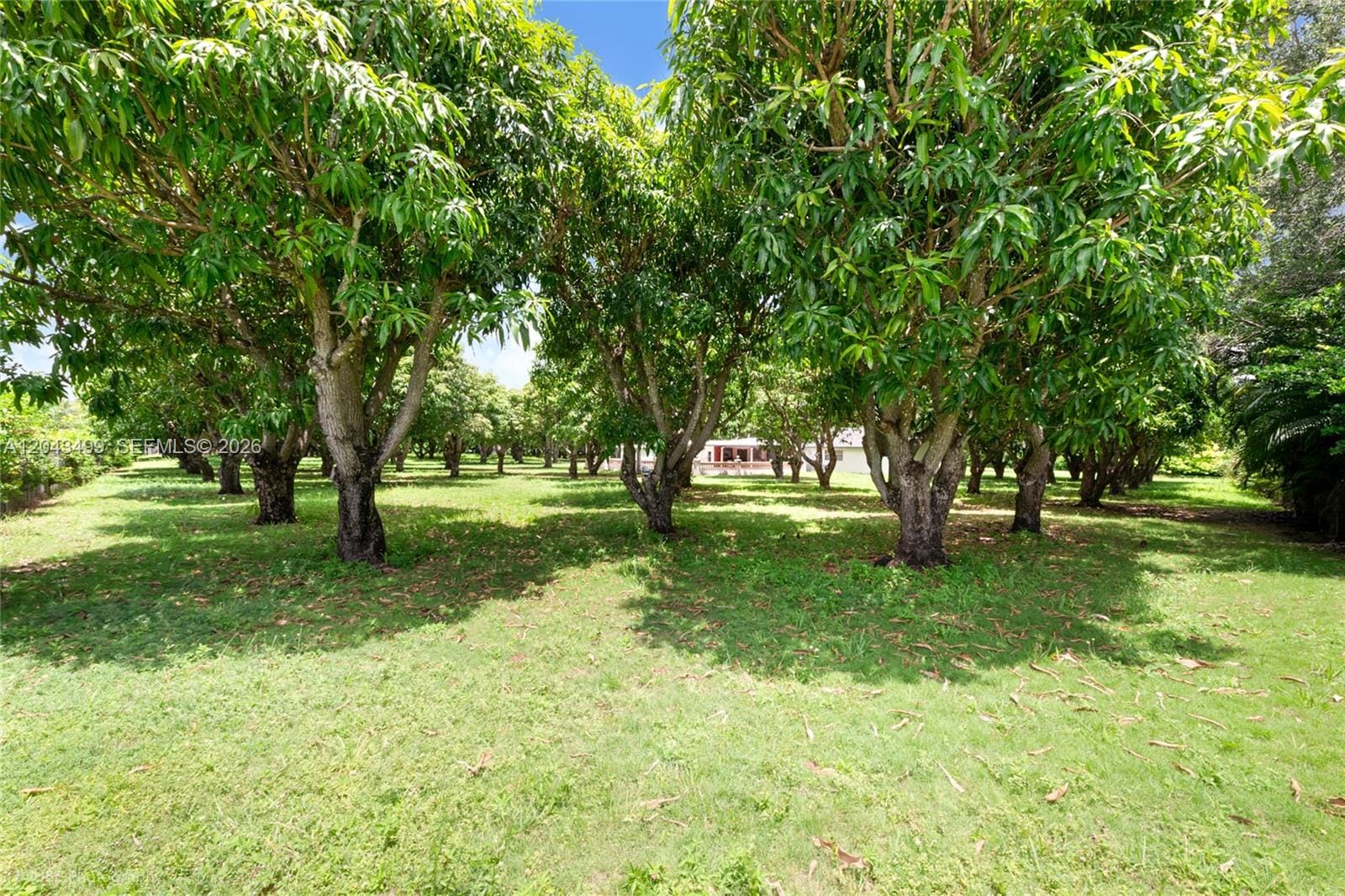 8000 SW 184th Street, Cutler Bay, FL 33157 photo 14