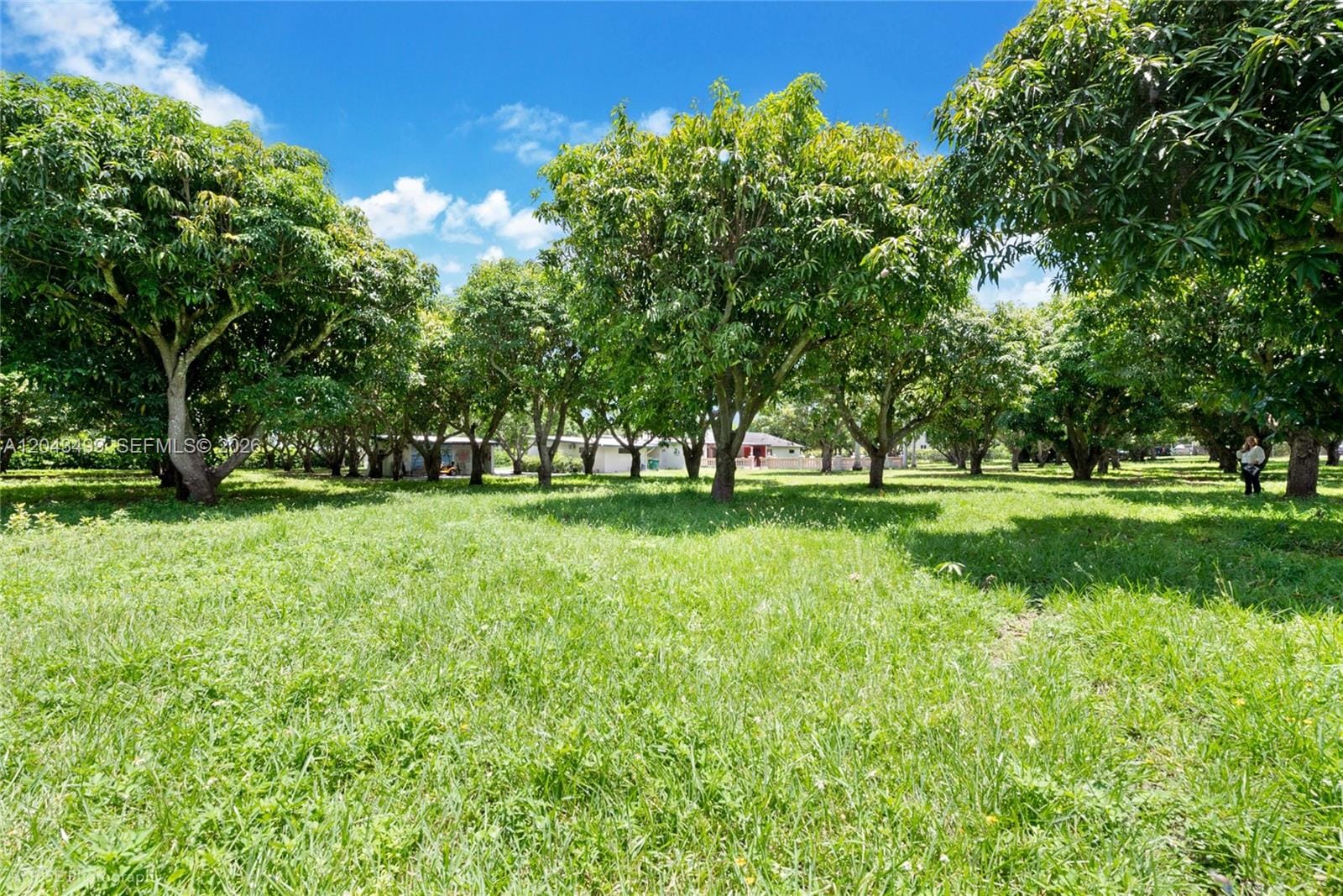 8000 SW 184th Street — photo 10
