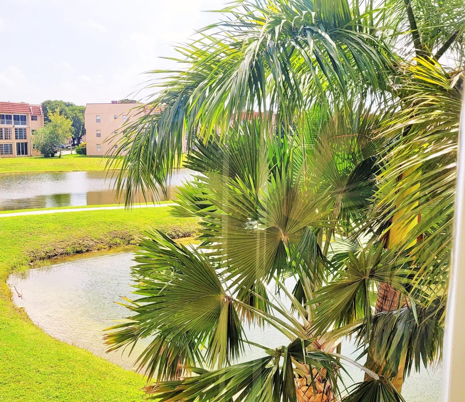 2801 N Pine Island Road 204, Sunrise, FL 33322 photo 15