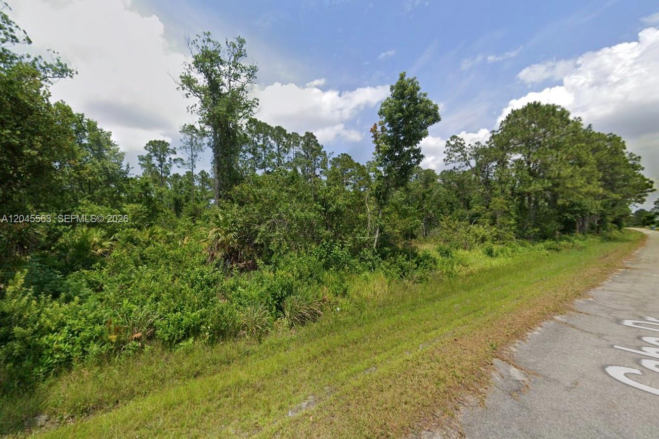 7905 Cabo Drive, Sebring, FL 33872