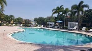 3859 Coral Tree Circle 302 — photo 4