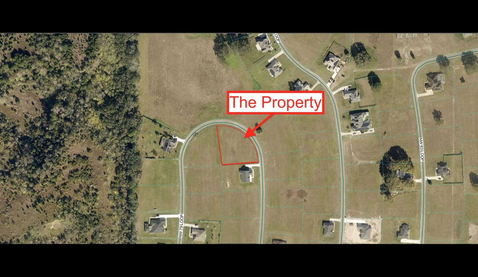 000 NW 79th Loop, Ocala, FL 34475 photo 11