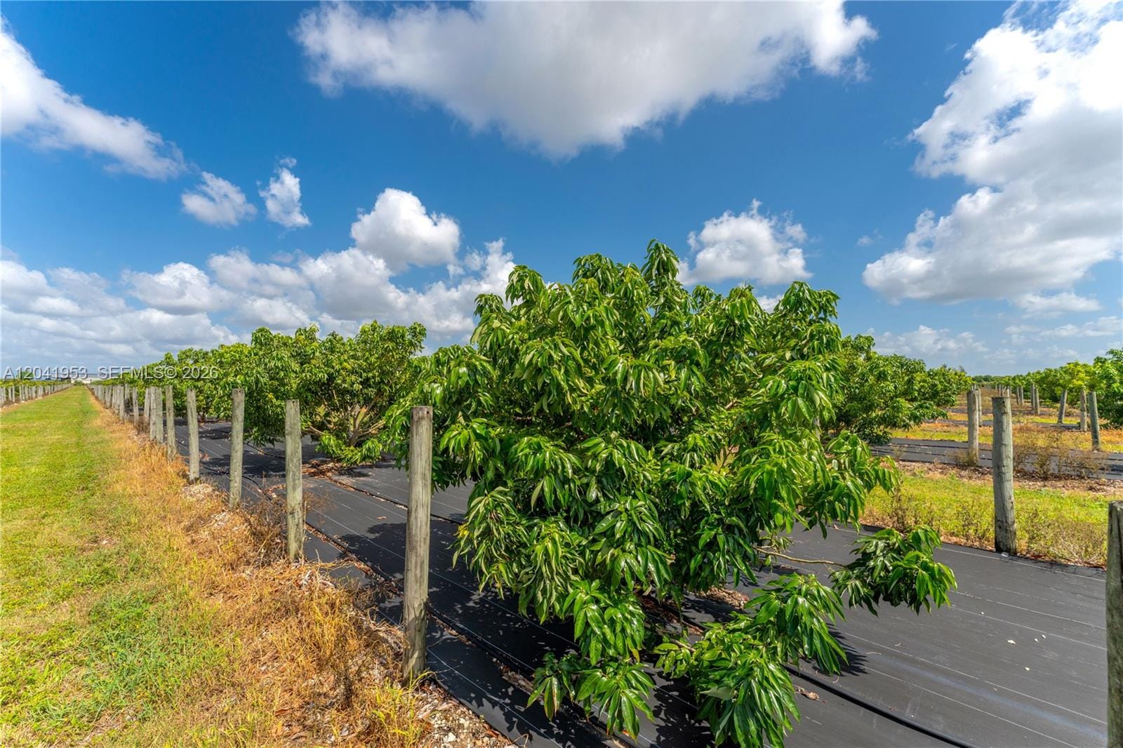 320xx SW 217 Avenue, Homestead, FL 33030 photo 11