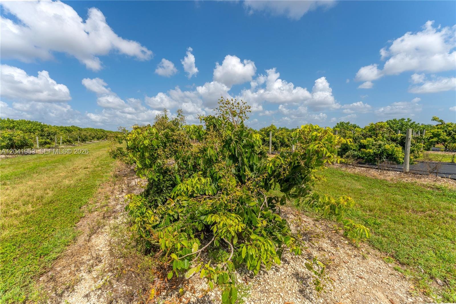 320xx SW 217 Avenue, Homestead, FL 33030 photo 12