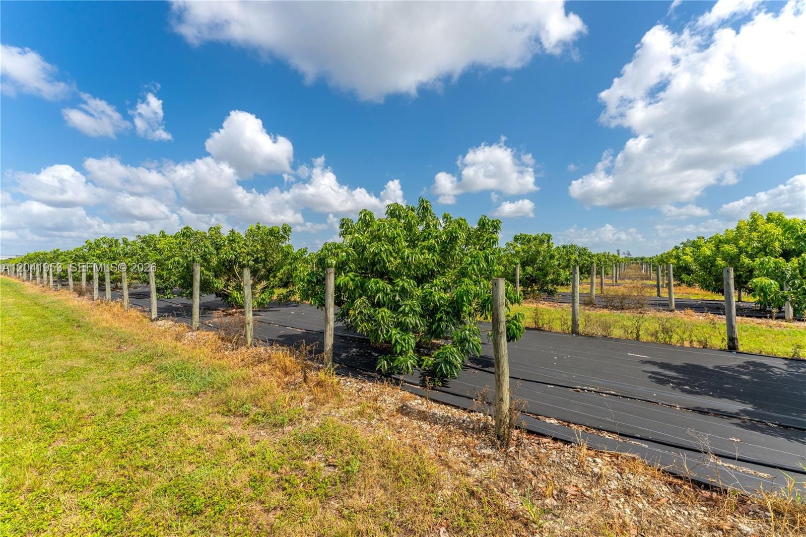 320xx SW 217 Avenue, Homestead, FL 33030 photo 8