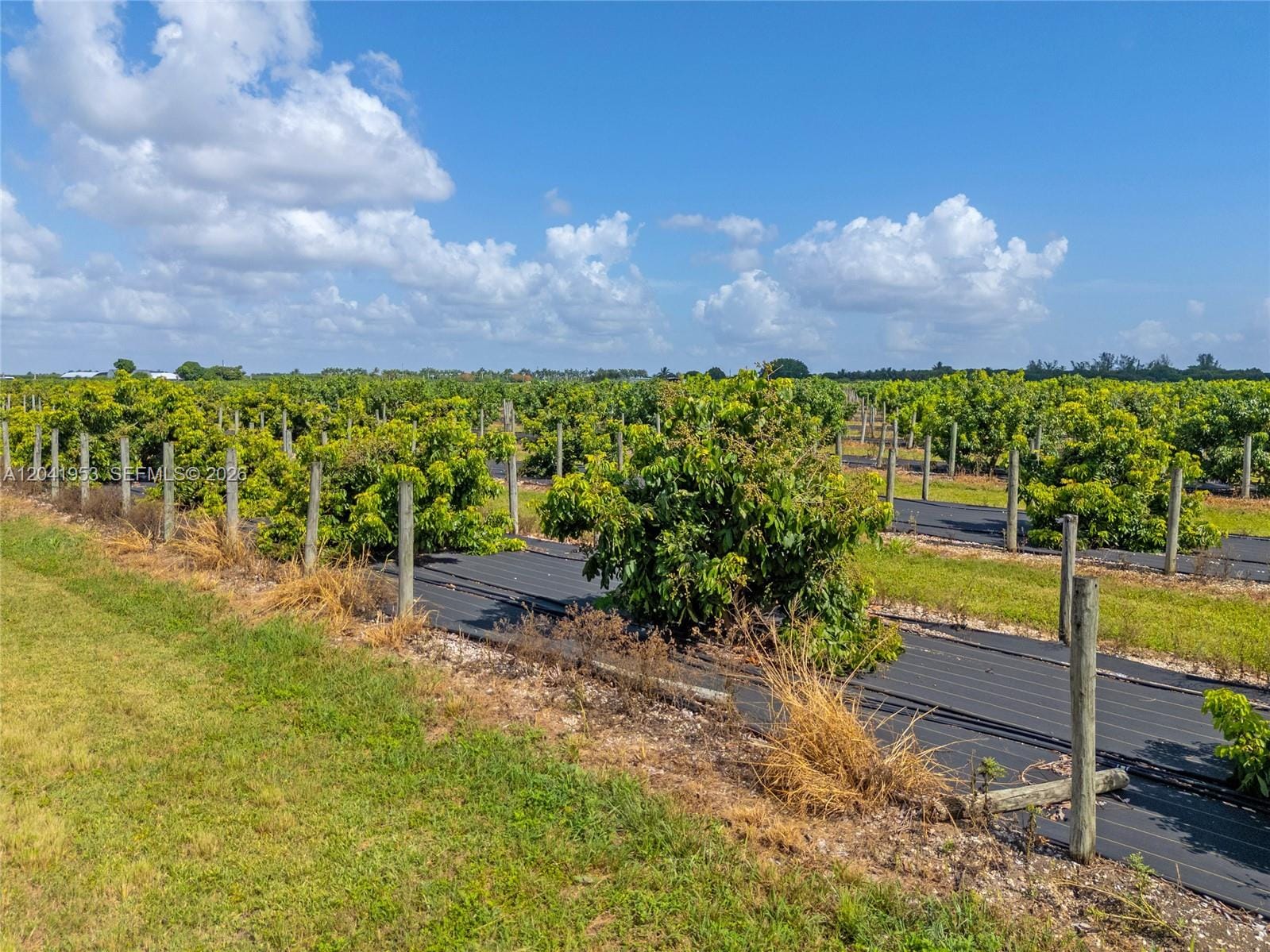 320xx SW 217 Avenue, Homestead, FL 33030 photo 10