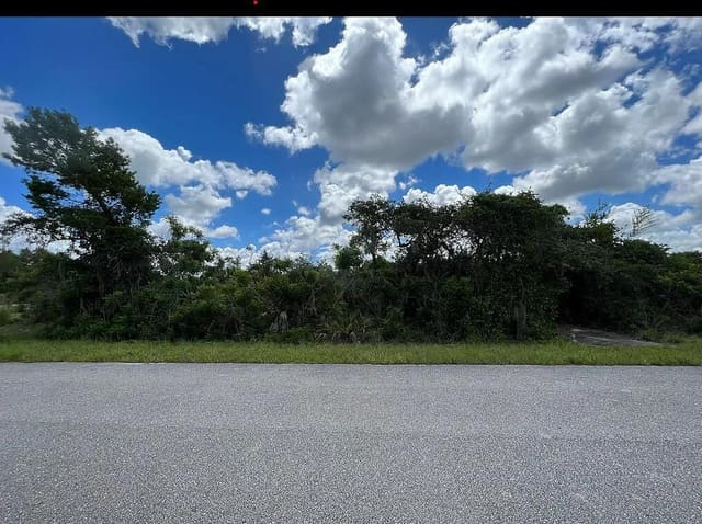 111 Marshall Avenue, Lake Placid, FL 33852