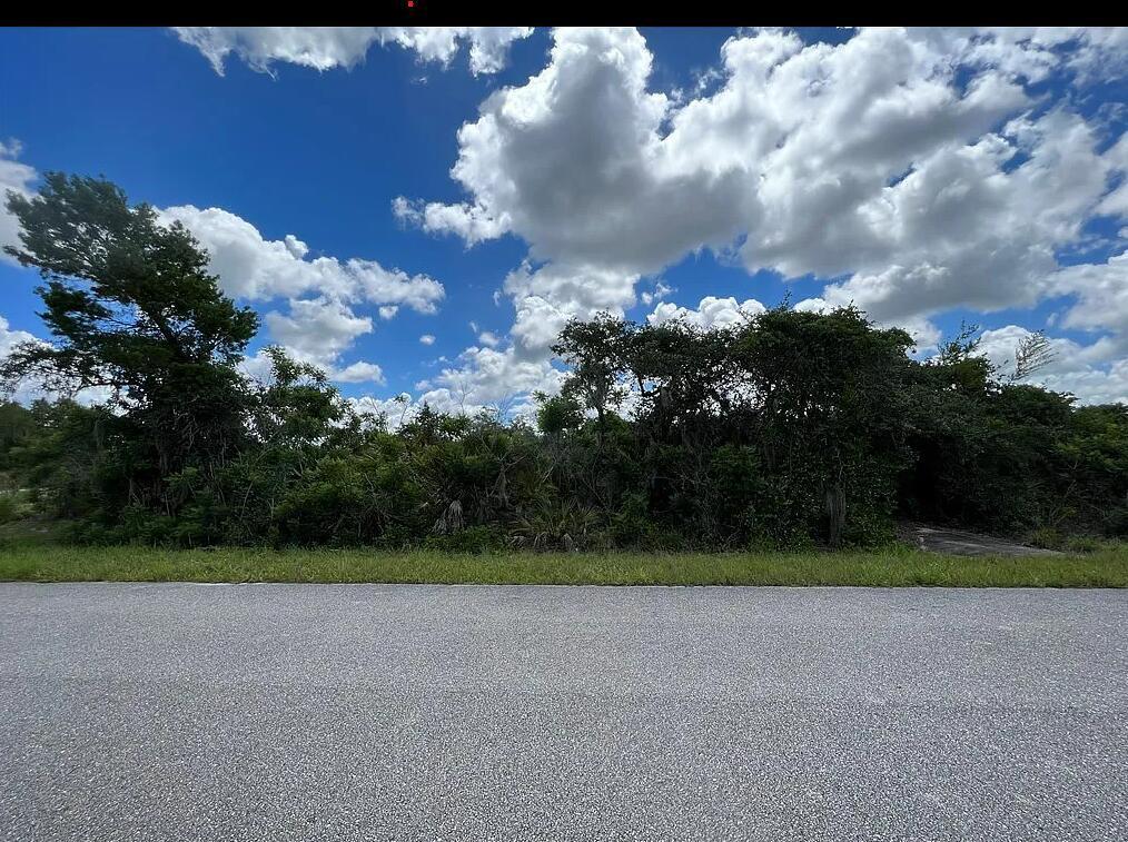 111 Marshall Avenue, Lake Placid, FL 33852, Lake Placid
