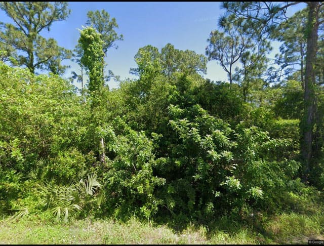 111 Suwannee Lane, Lake Placid, FL 33852