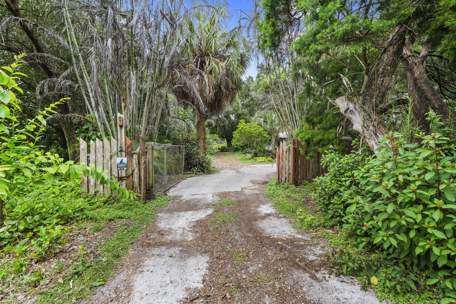 3603 Kirby Loop Road — photo 6
