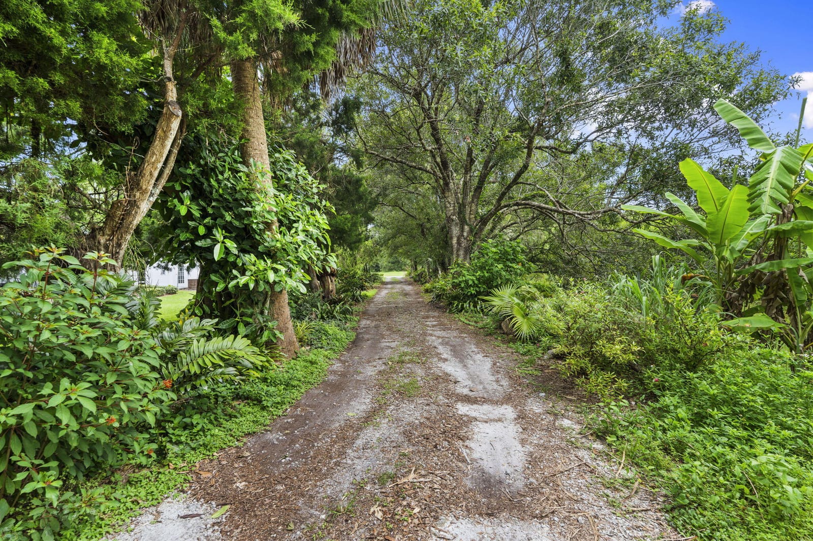 3603 Kirby Loop Road — photo 7