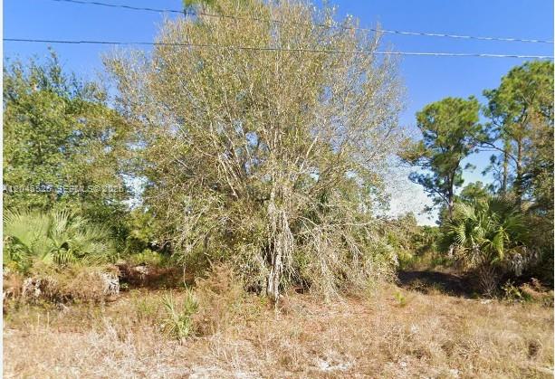 3604 63rd Street