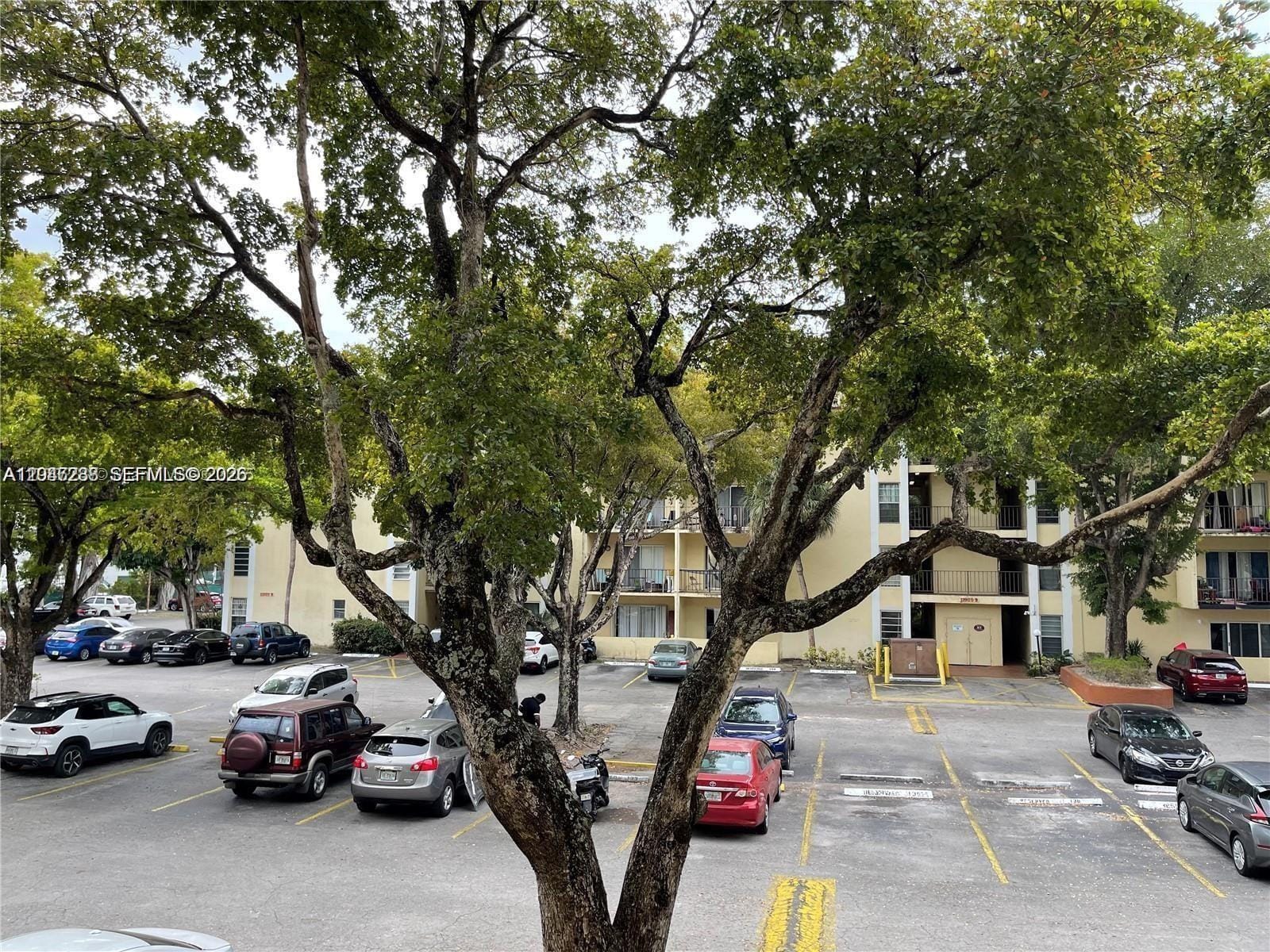 12035 NE 2nd Avenue A209 — photo 11