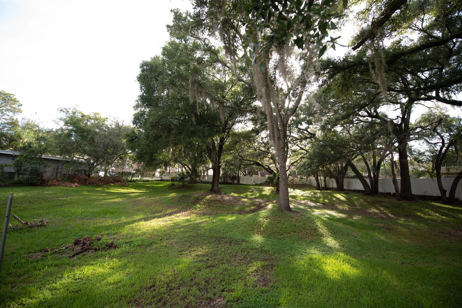 12216 N 59th Street, Tampa, FL photo 6