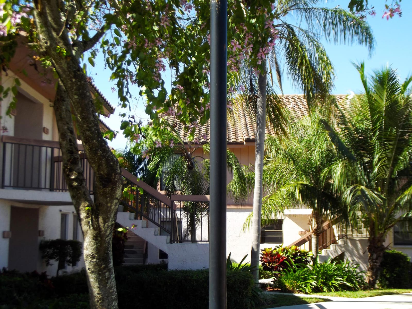 3355 Jaywood Terrace 2140, Boca Raton, FL 33431 photo 3