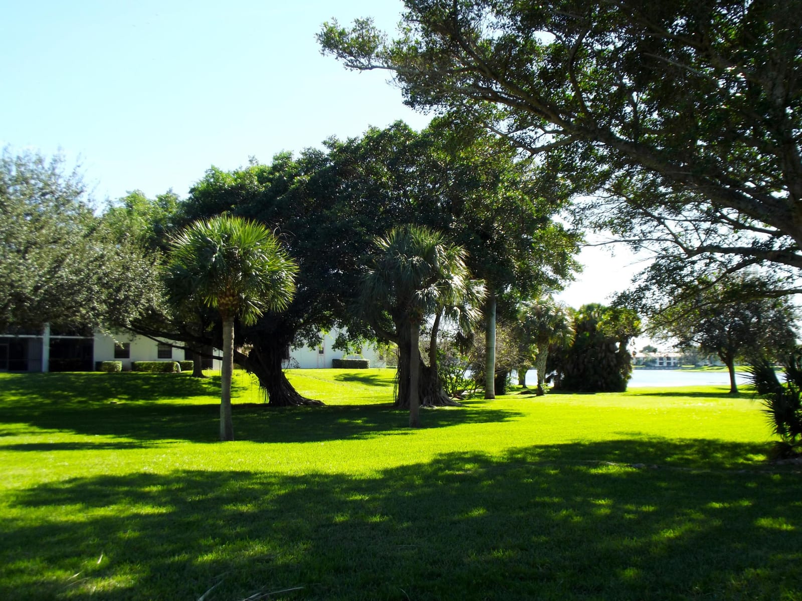 3355 Jaywood Terrace 2140, Boca Raton, FL 33431 photo 6