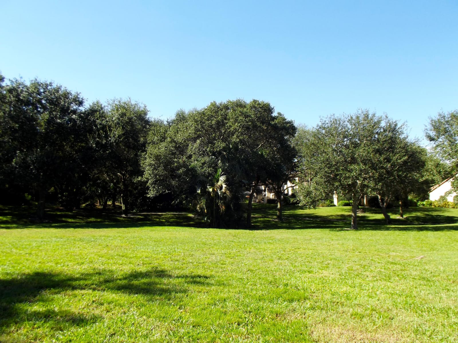 3355 Jaywood Terrace 2140, Boca Raton, FL 33431 photo 7