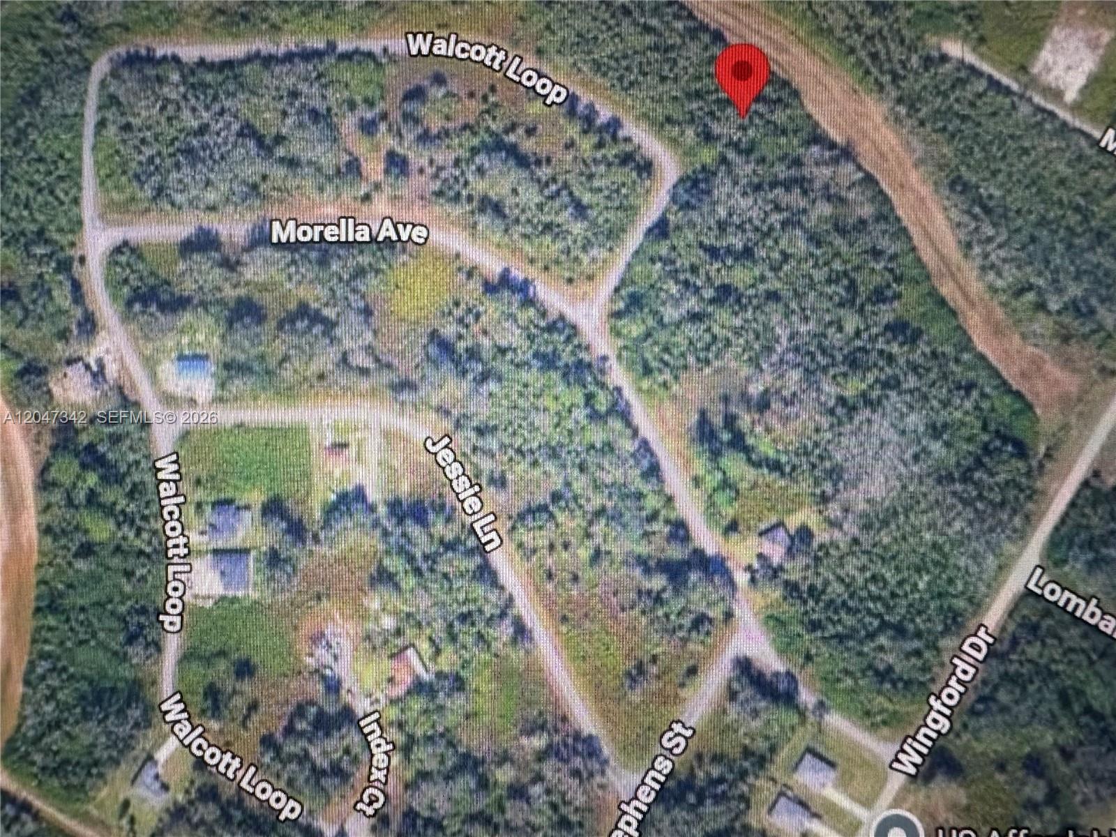 1991 Walcott Loop