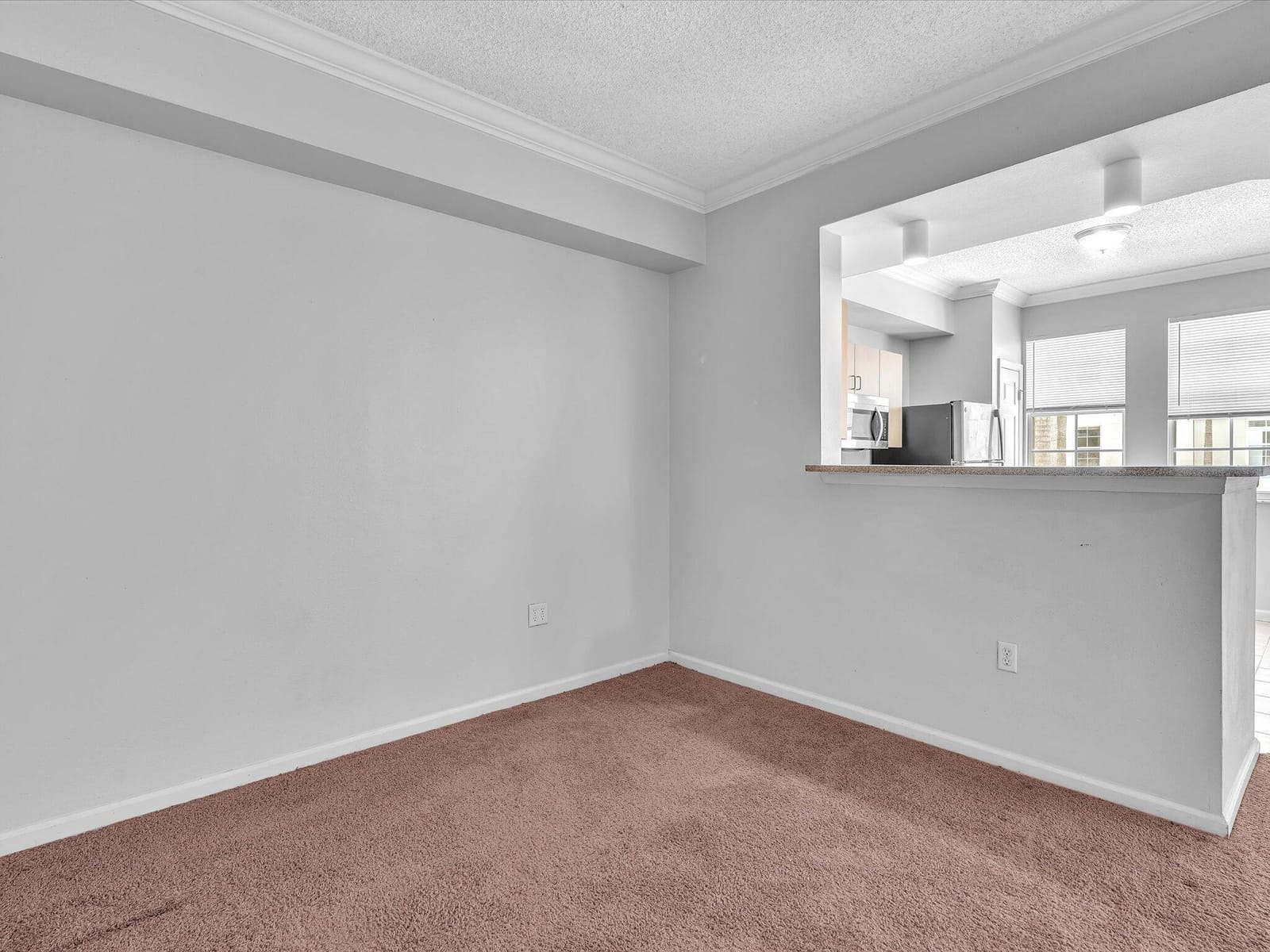533 NE 3rd Avenue 237, Fort Lauderdale, FL 33301 photo 21
