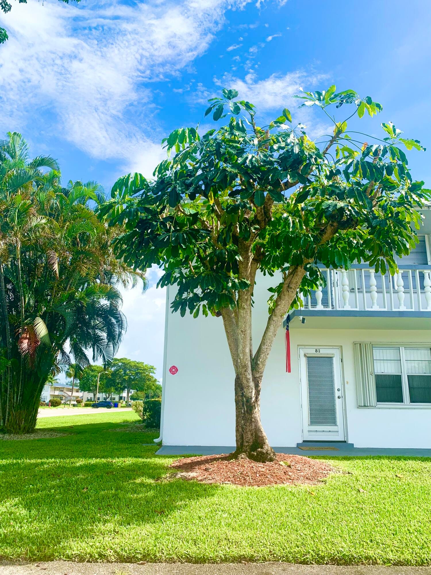81 Kingswood E, West Palm Beach, FL 33417