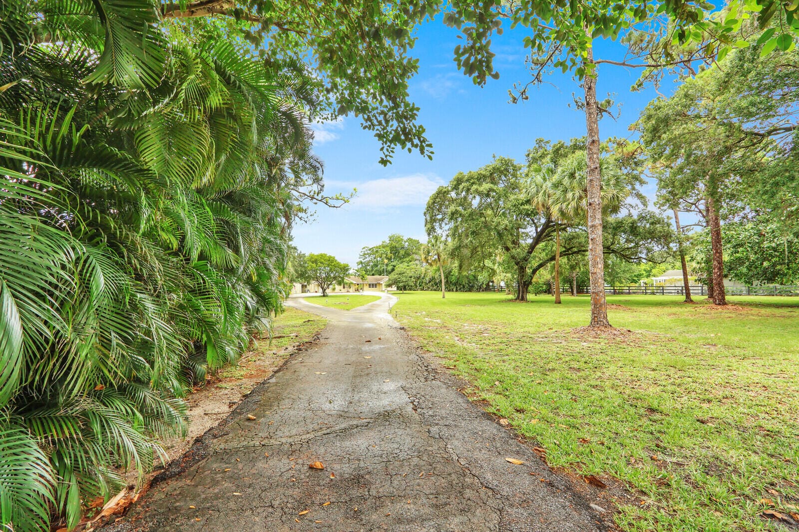 4529 Square Lake Drive — photo 4