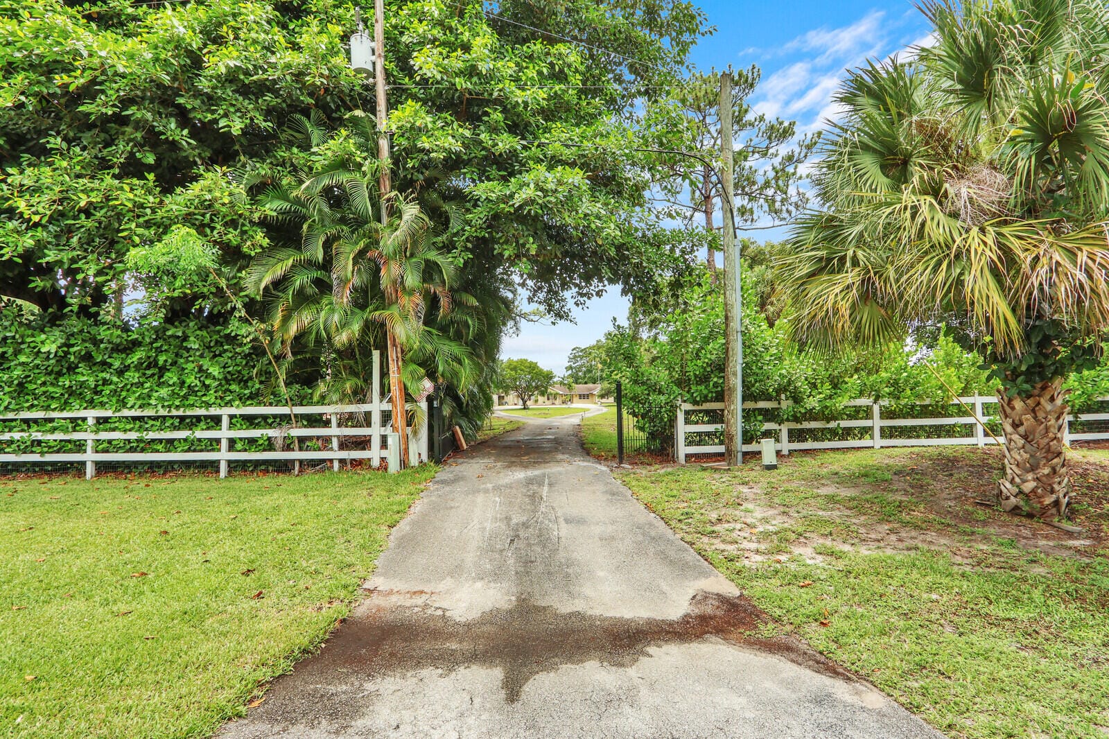 4529 Square Lake Drive — photo 5