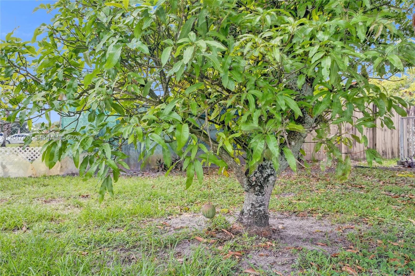 6358 SW 20th Court, Miramar, FL 33023 photo 14