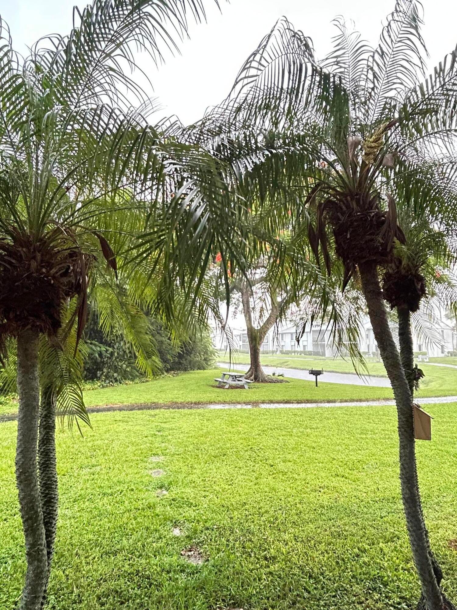 1007 Green Pine Boulevard F3, West Palm Beach, FL 33409 photo 25