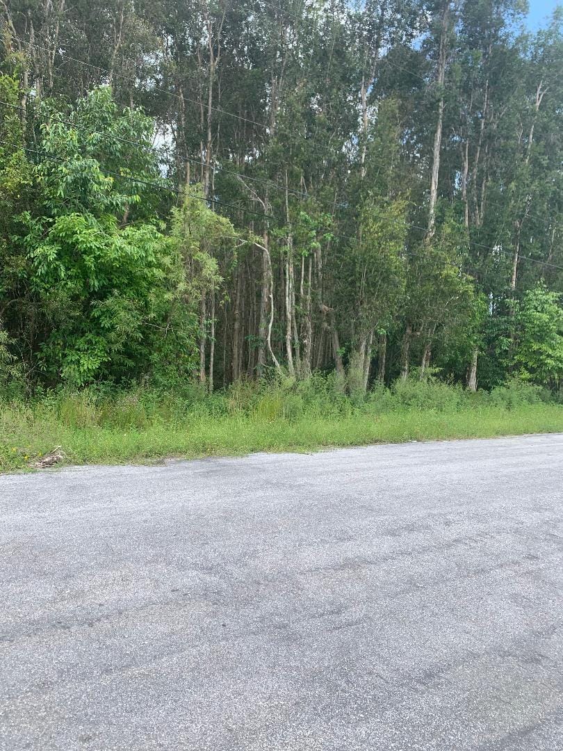 0000 87th Street N, The Acreage, FL 33412