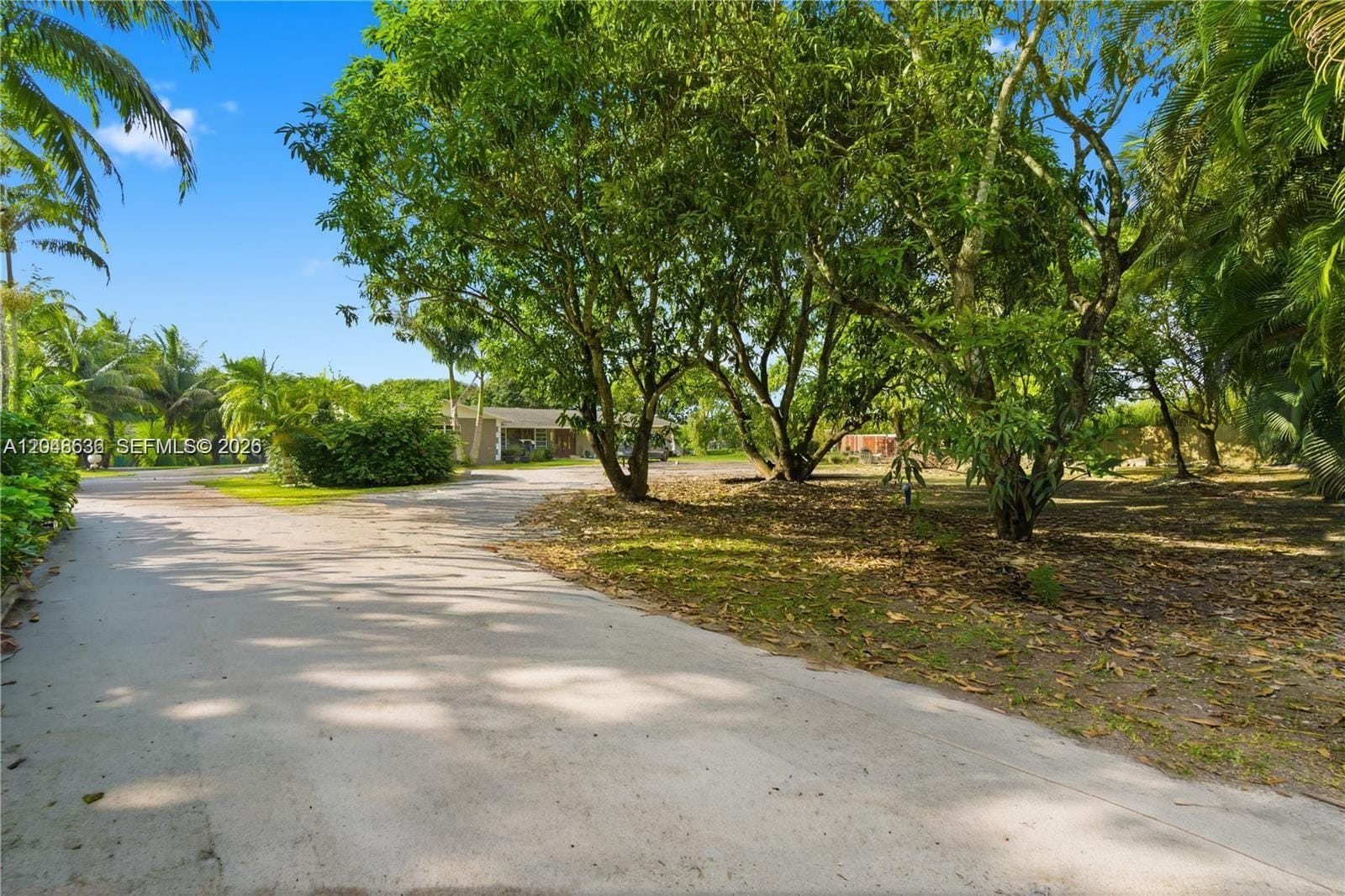 15490 SW 209th Avenue, Miami, FL 33187 photo 29