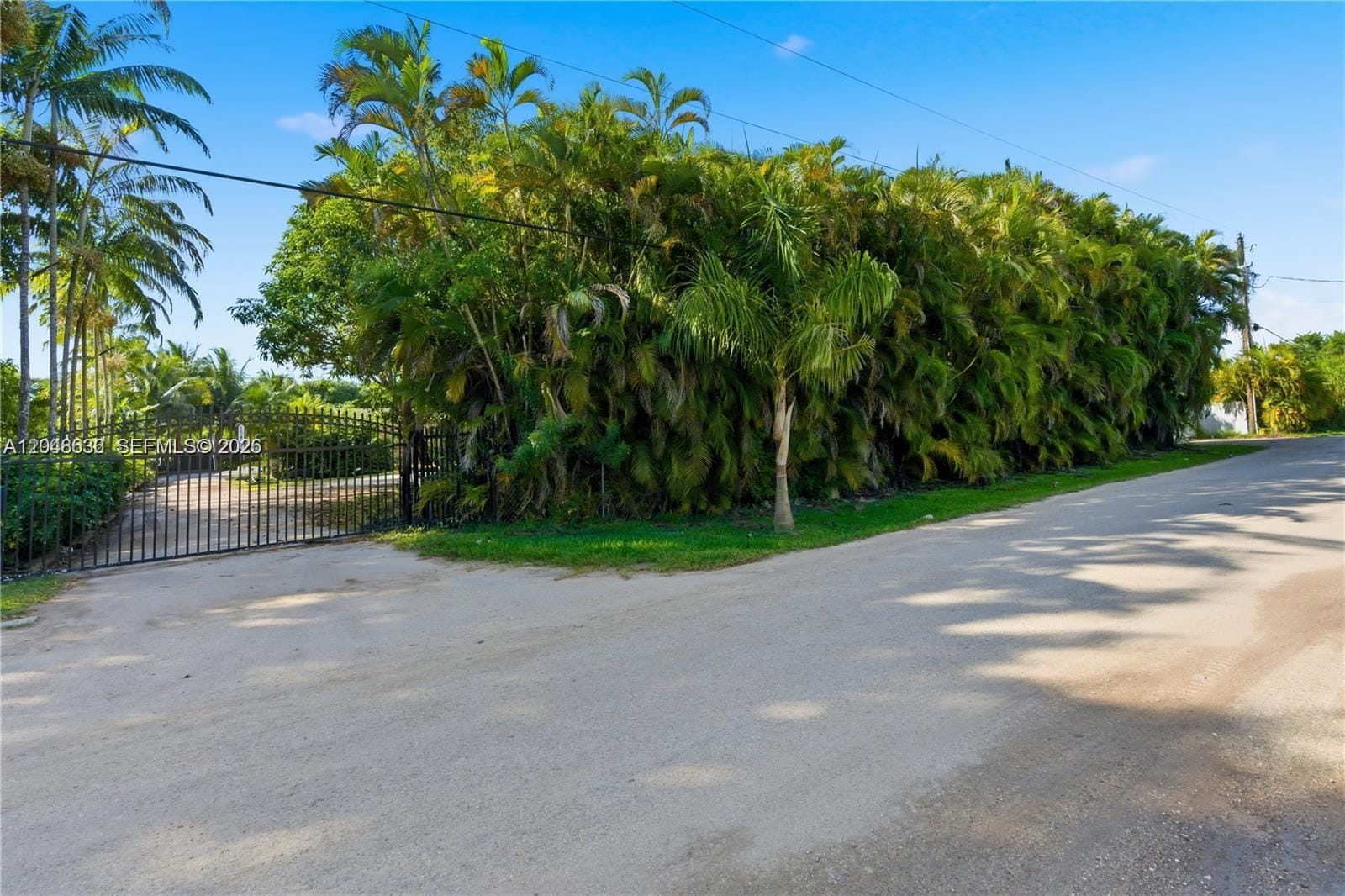 15490 SW 209th Avenue, Miami, FL 33187 photo 30