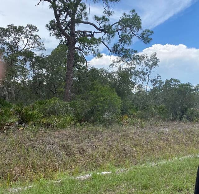 1002 Archie Summers Road, Lake Placid, FL 33852