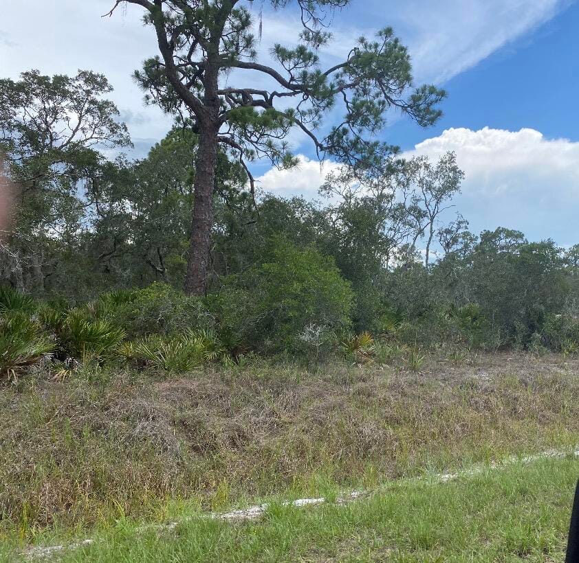 1002 Archie Summers Road, Lake Placid, FL 33852