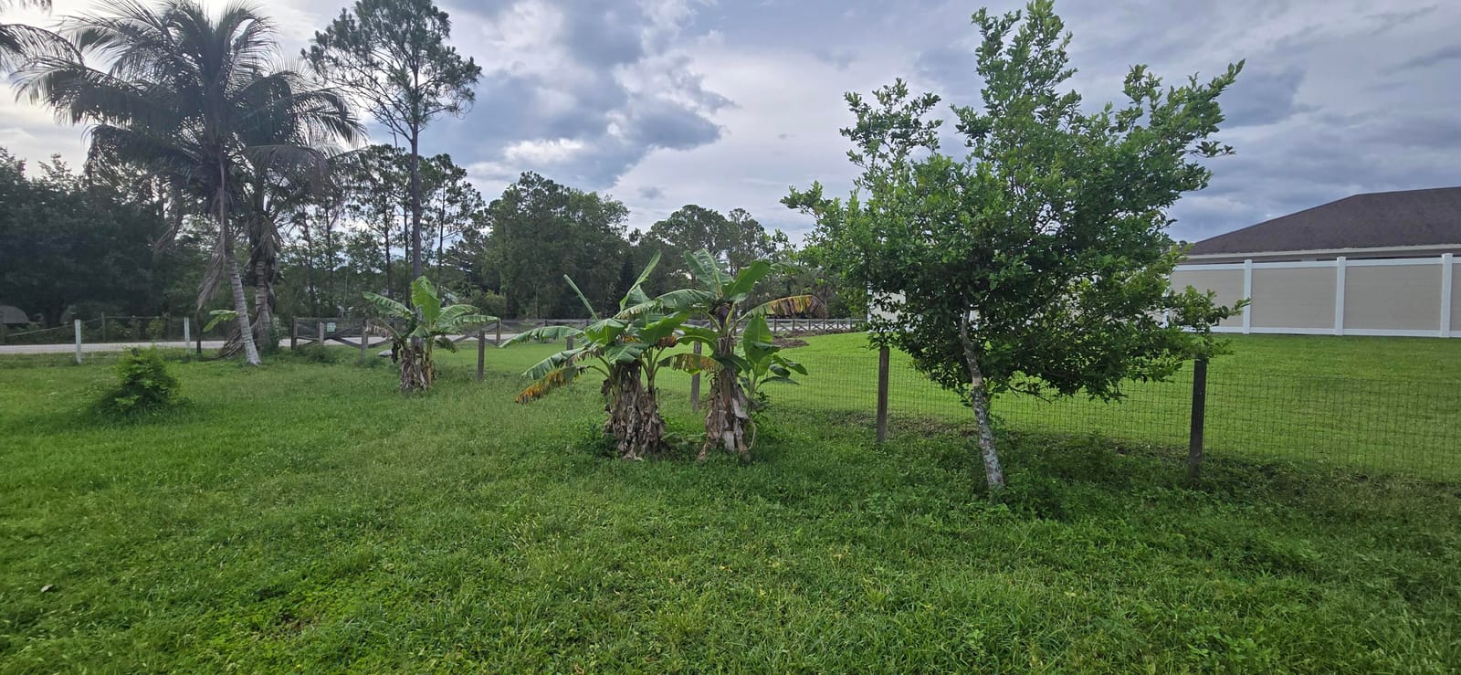 17999 N 46th Court N, The Acreage, FL 33470 photo 2
