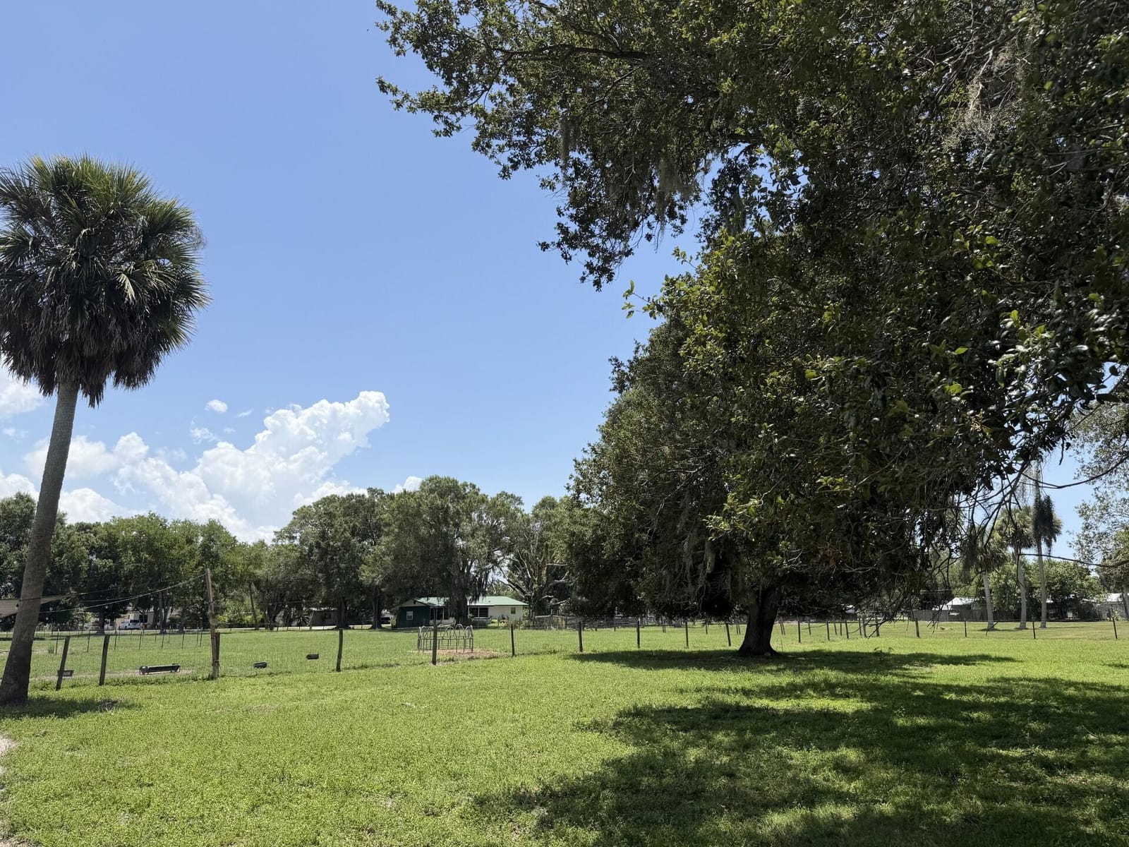 945 NE 28th Avenue, Okeechobee, FL 34972 photo 6