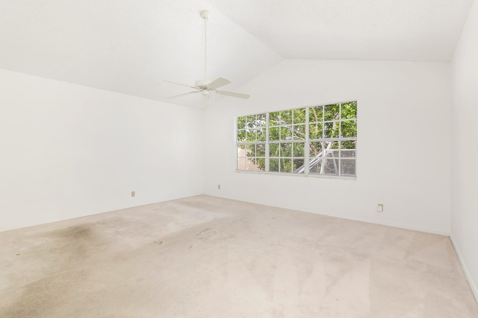 22 Selby Lane — photo 8