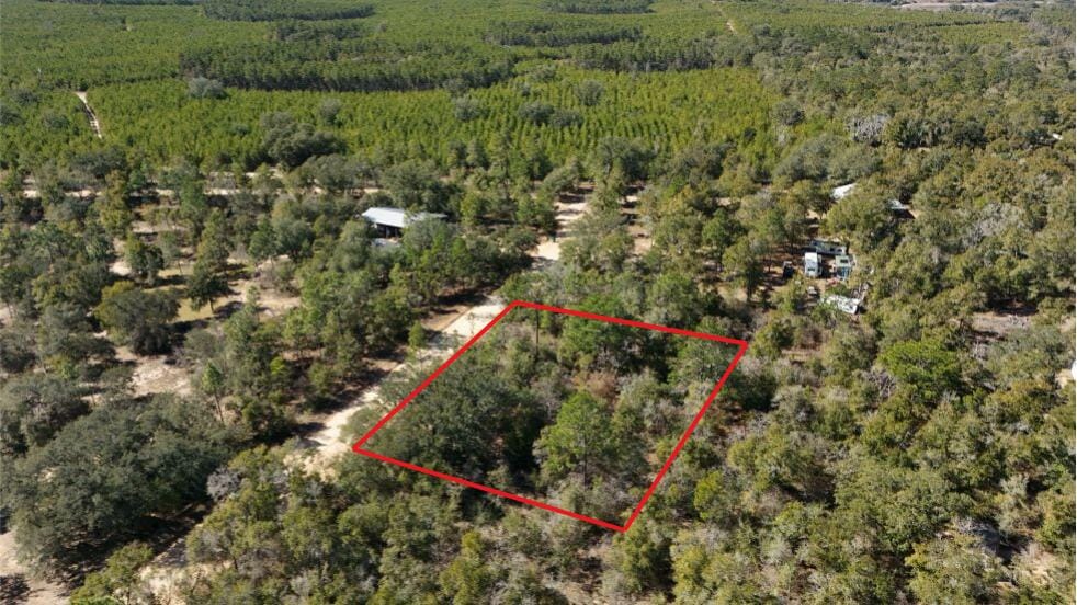 0 Stewart Lake Road, Chipley, FL 32428 photo 3