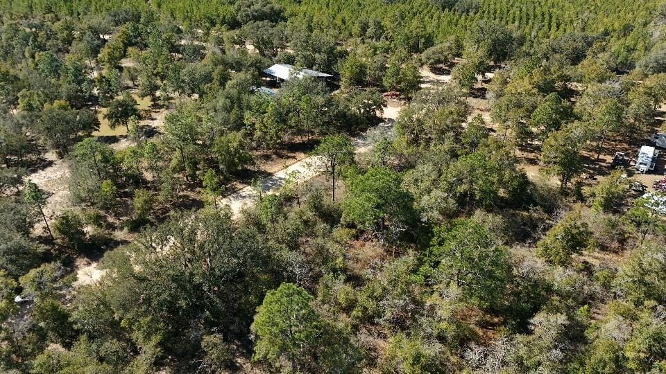 0 Stewart Lake Road, Chipley, FL 32428 photo 7