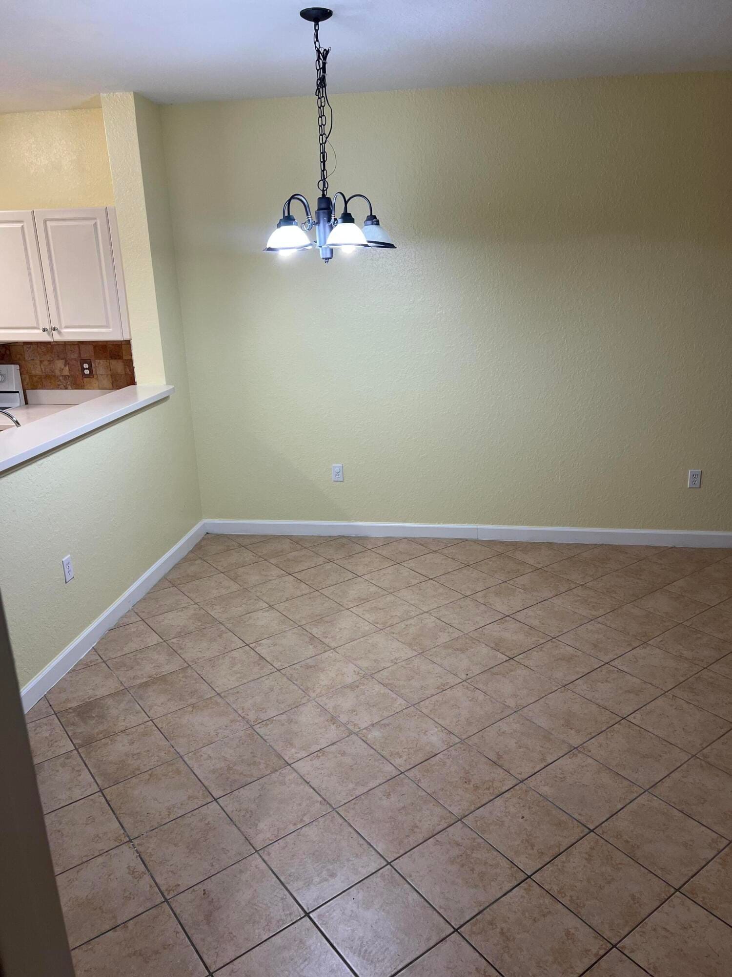 4113 Napoli Lake Drive — photo 3