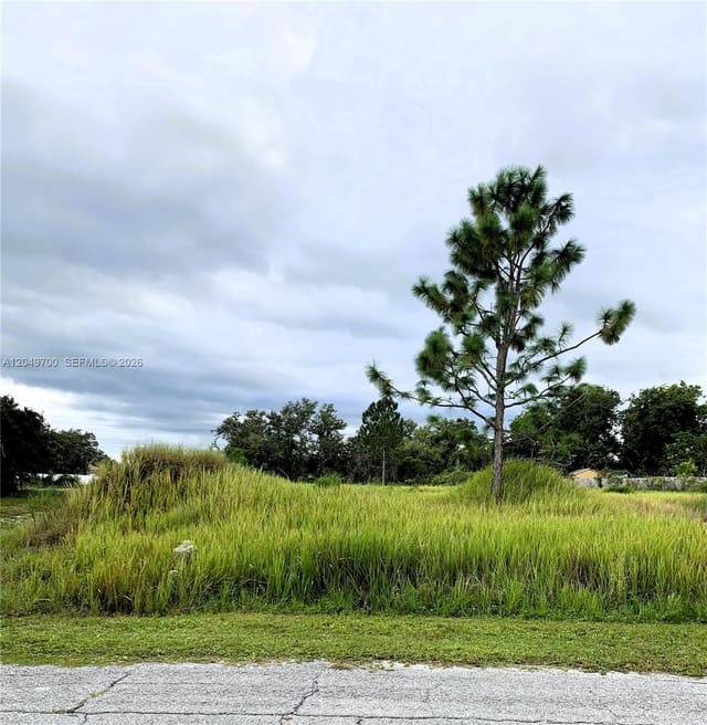 531 St Johns Court, Poinciana, FL 34759