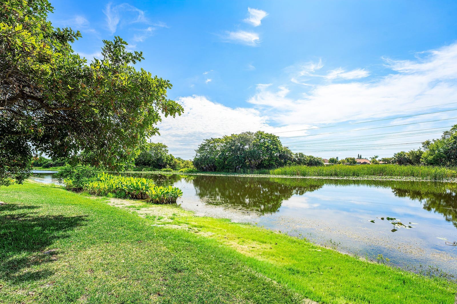 18724 Sea Turtle Lane, Boca Raton, FL 33498 photo 10