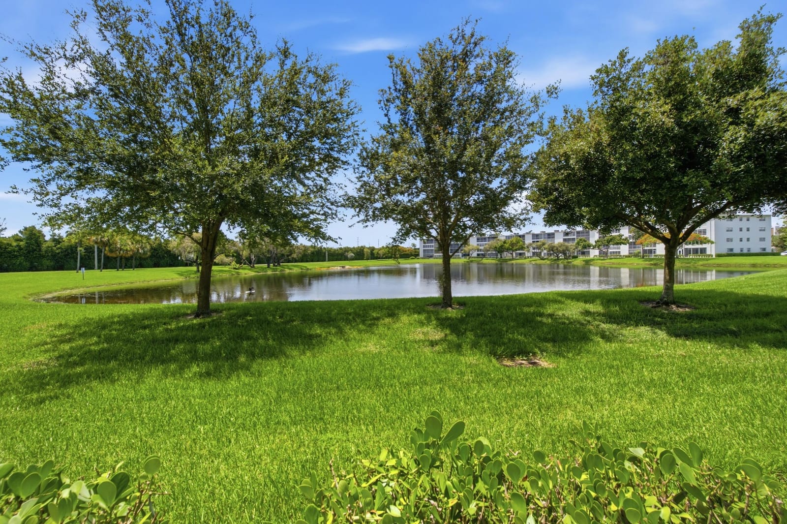 1048 Lincoln C, Boca Raton, FL 33434 photo 23