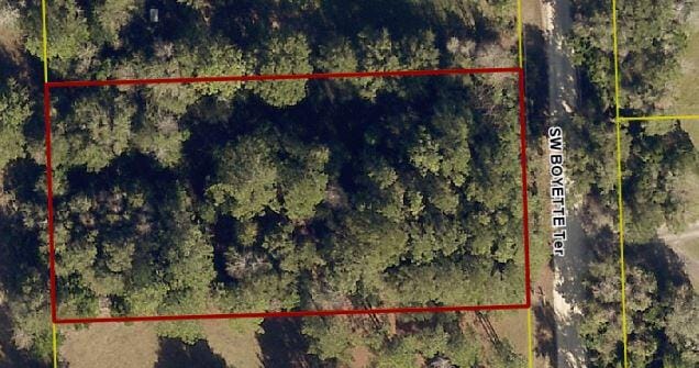 888 SW Boyette Terrace, Lake City, FL 32024 photo 2