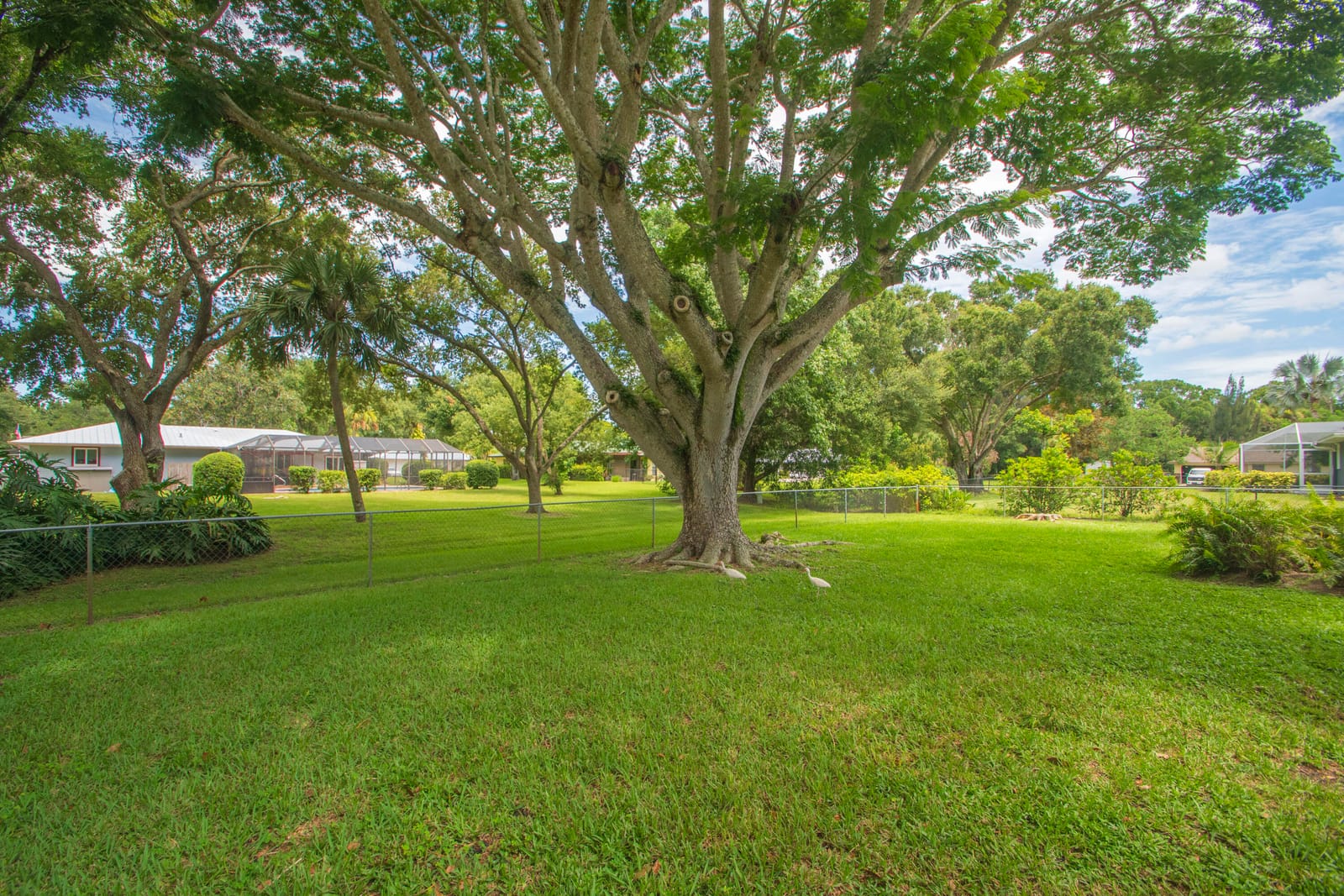 2335 81st Court, Vero Beach, FL 32966 photo 26