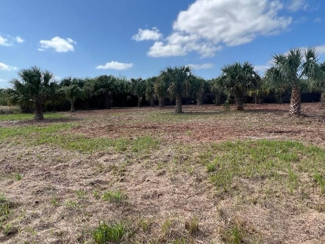 2182 Sparta Avenue SW, Palm Bay, FL 32908