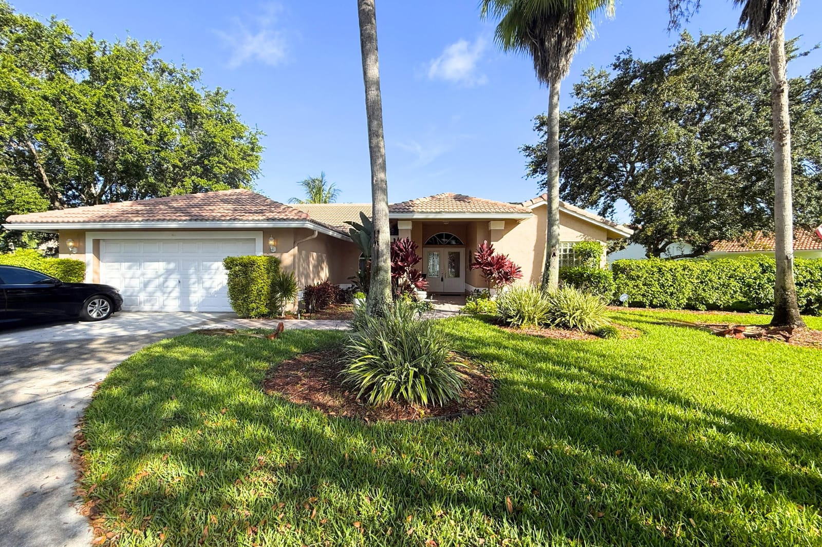 10884 Paso Fino Drive