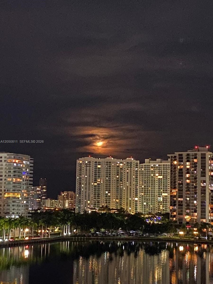 18041 Biscayne Boulevard 804, Aventura, FL 33160 photo 15