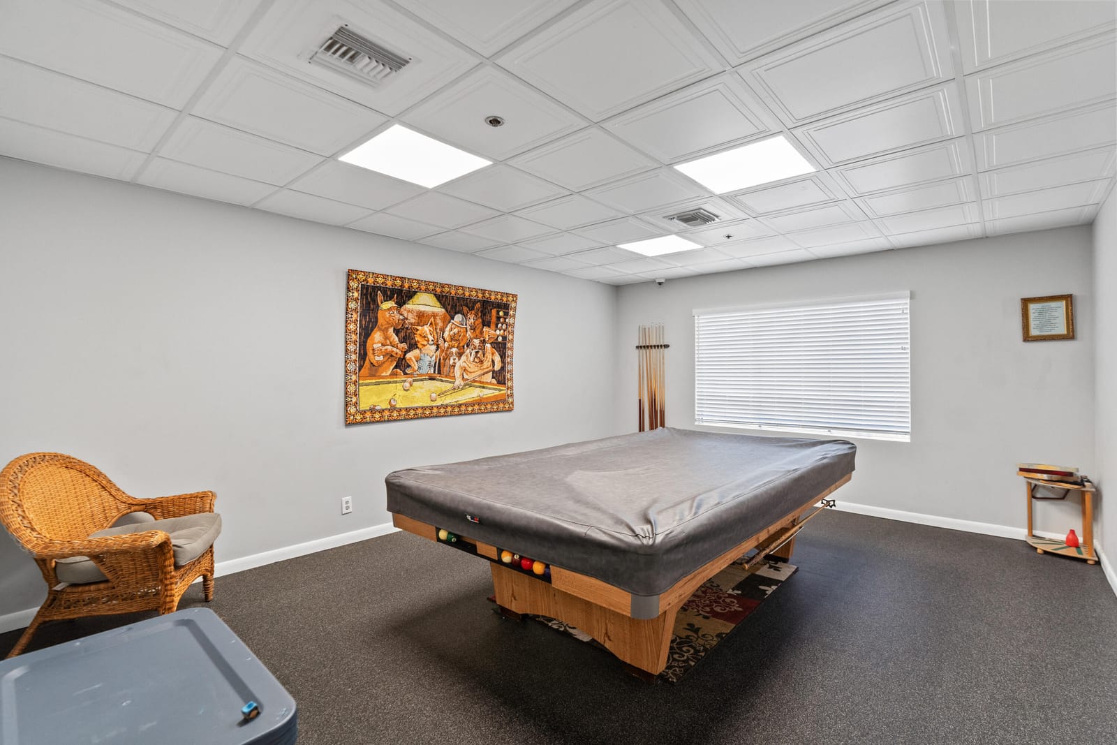 9305 Flynn Circle 6 — photo 8