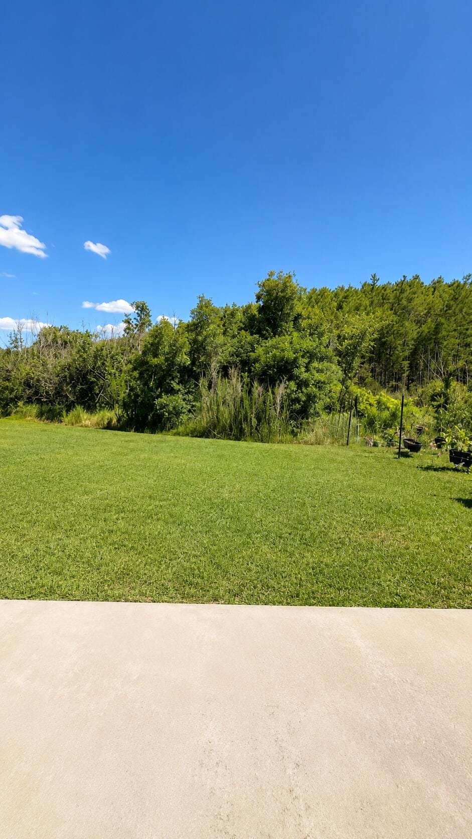 1448 Derby Glen Drive, Orlando, FL 32837 photo 4